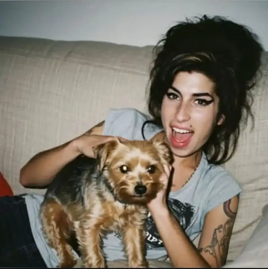 Amy Winehouse özel sanatçılar, fotoğraf 2