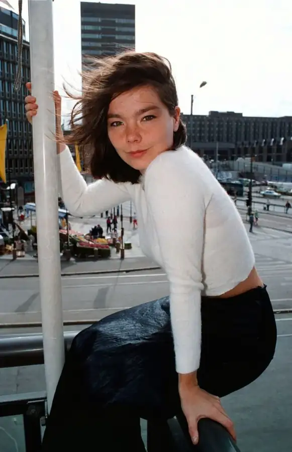 Björk özel sanatçılar, fotoğraf 1