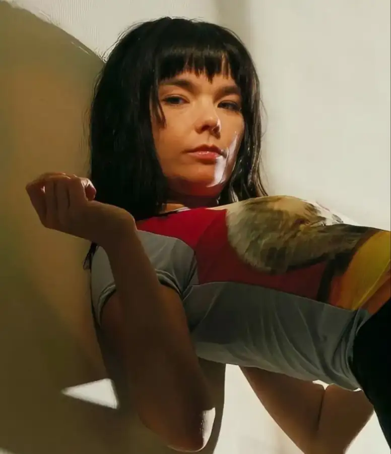 Björk özel sanatçılar, fotoğraf 6