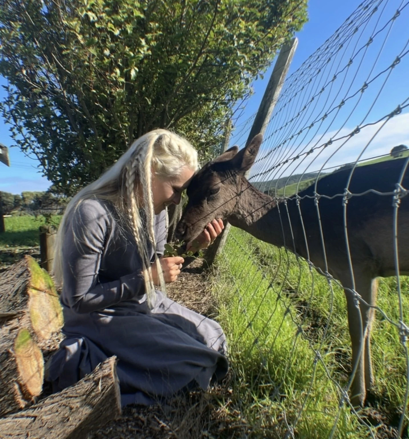 Kiki Rockwell özel sanatçılar, fotoğraf 7
