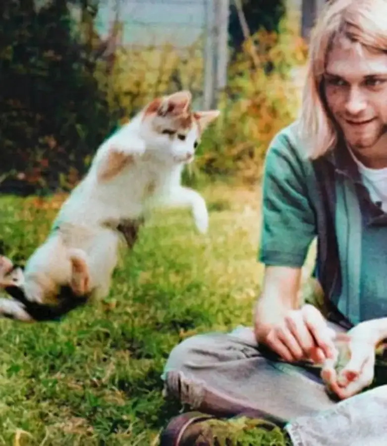 Kurt Cobain özel sanatçılar, fotoğraf 5